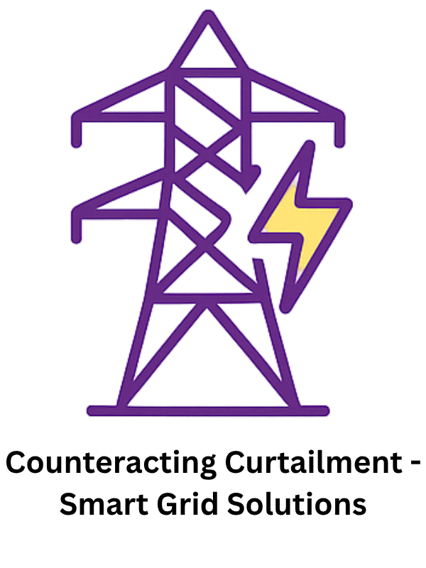 Counteracting Curtailment - Smart Grid Solutions